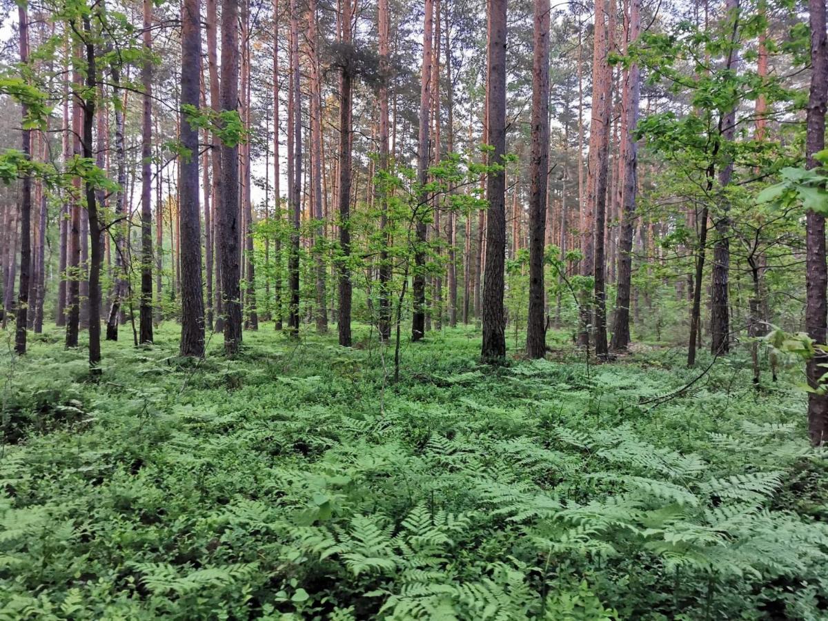 Pasynki 44 Holiday home Zabludow